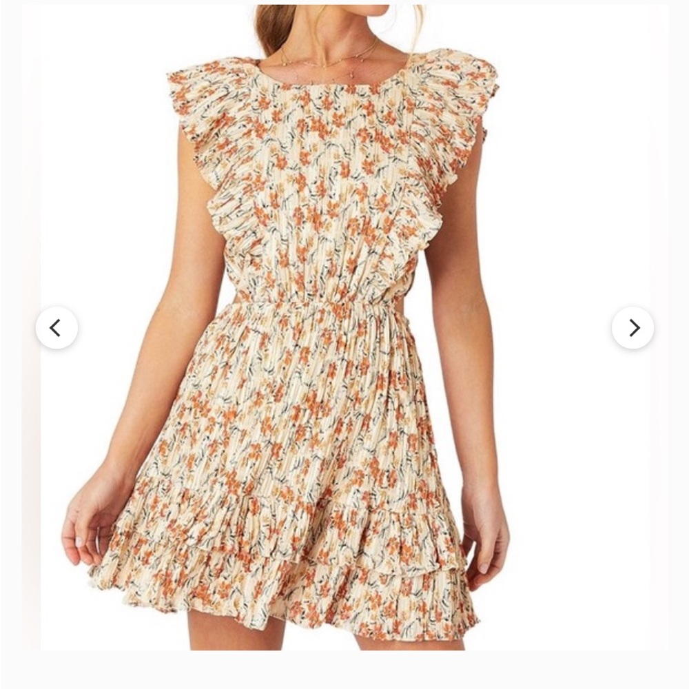 MINKPINK Floral Ruffle Sleeve Fit&Flare Dress  Medium Boho Cottagecore Spring